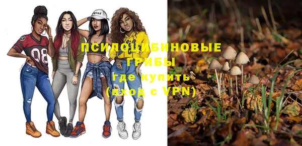 mix Алексин
